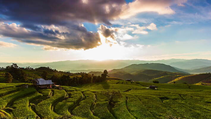 식물 구름 아시아 여행 백그라운드 이동 농업 태국 자연 하늘 아침 바람 산 사람 풍경 사람없음 야외 초록색 여름 컬러풀 태양 농장 새싹 일출 계곡 황혼 일몰 새벽 시골 저녁 오두막 시골집 베트남 내추럴 논밭 랜드마크 막 4K 타임랩스 MOV 해외동영상 클립영상 주간 자연요소 계절 나라 산업 컬러 컨셉 밭 날씨 주택 논 촬영기법 노을 동남아시아 야간 생태계 동영상 파일형식