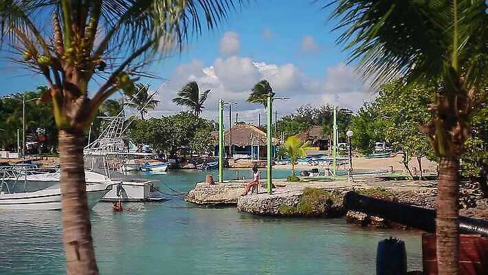 나무 모래 바다 섬 여행 백그라운드 요트 자연 하늘 휴가 휴식 손바닥 사람없음 초록색 물 파란색 태양 맑음 침묵 흰색 보트 포트 내추럴 고립 공화국 도미니카공화국 옛날 이국적 터키석 4K MP4 해외동영상 클립영상 자연요소 식물 손 나라 컬러 컨셉 배_교통 날씨 소리 남아메리카 보석 생태계 동영상 파일형식