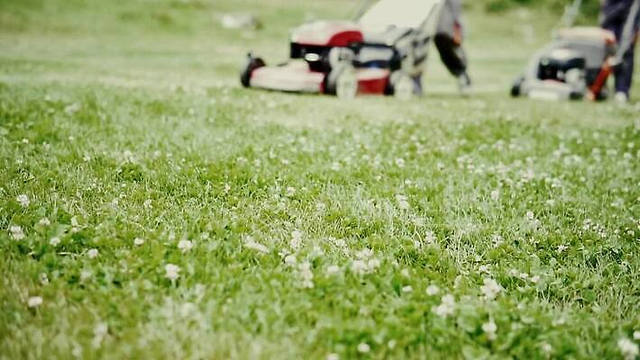식물 직업 공원 백그라운드 밭 자연 노동자 사람 잔디 초원 사람없음 야외 아웃포커스 초록색 여름 정원 기계 봄 장비 성장 공구 신선 업무 바퀴 칼날 자르기 원예 조경 손질 엔진 모터 유지 다듬기 돌봄 뒤뜰 원예사 커터 MOV 해외동영상 클립영상 계절 공공시설 컬러 농업 모션 촬영기법 취미 도구 작업 생태계 동영상 파일형식