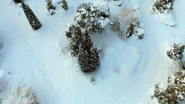 나무 계절 공원 여행 백그라운드 크리스마스 겨울 자연 벽지 하늘 아침 휴가 새로움 한국 안테나 파노라마 사람없음 야외 파란색 강 환경 정원 추위 덮개 흰색 소나무 숲 가루 장면 상록수 일반 드론 땅바닥 4K MOV 해외동영상 클립영상 주간 식물 공공시설 기념일 아시아 컬러 컨셉 통신 바닥 촬영기법 뚜껑 생태계 동영상 파일형식