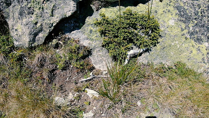 호수 자국 산 사람없음 여름 맑음 트래킹 하이킹 장비 자유 탐험 뜨거움 정상 위험 오르기 백패커 불가리아 절정 하이커 4K 반스코 MOV 해외동영상 클립영상 계절 여행 컨셉 모션 레저 날씨 동영상 파일형식 남유럽