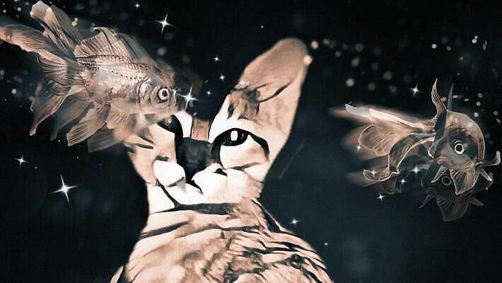 동물 디자인 포스터 컨셉 추상 잉크 미술 사람없음 반려동물 컬러풀 펜 유행 고양이 페인트 물감 거친 디자이너 스케치 방향 콧수염 질감 코 예술가 주걱 지하 강렬 쉬운 전용 총구 프리미엄 핸드메이드 아크릴 스타일 MOV 해외동영상 클립영상 직업 컬러 무늬 포유류 재질 주방용품 문화예술 수염 신체부위 필기구 미술도구 동영상 파일형식