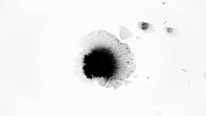 모양 종이 컬러 백그라운드 패턴 추상 수채화 잉크 건조 미술 사람없음 물 검은색 페인트 놀람 펼침 젖음 흐름 흰색 점 원형 그리기 액체 혈액 떨어짐 정상 혼합 질감 쏟아짐 파열 내추럴 고립 그런지 타격 화학물질 MOV 해외동영상 클립영상 자연요소 도형 감정 컨셉 무늬 모션 문화예술 표정 화학 동영상 파일형식