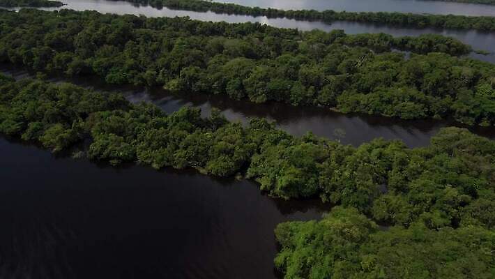 나무 호수 여행 자연 안테나 사람없음 초록색 물 강 환경 미국 개울 보호 습지 정상 숲 열대우림 에콰도르 대야 브라질 최초 남쪽 항공촬영 드론 랜드마크 볼리비아 아마존 이국적 페루 그리너리 브라질사람 4K MOV 해외동영상 클립영상 자연요소 식물 뷰포인트 컬러 컨셉 북아메리카 통신 아메리카 남아메리카 방향 생태계 동영상 파일형식 트랜드컬러