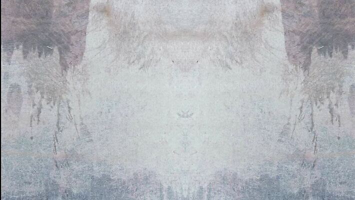 디자인 응시 백그라운드 패턴 추상 프레임 사람없음 카메라 검은색 소리 손상 수확 골동품 낟알 필름 영화 향수 복고 먼지 덮기 영사기 얼레 비네팅 구식 그런지 옛날 진짜 효과 깜빡이다 MOV 해외동영상 클립영상 시선 컬러 컨셉 무늬 농업 모션 문화예술 촬영기법 전자제품 화장품 동영상 파일형식