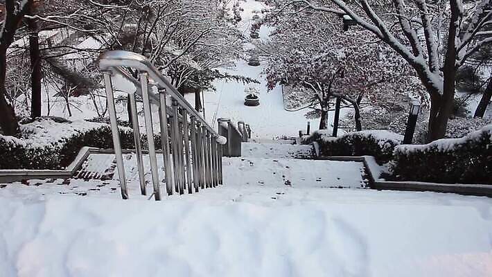 나무 계절 백그라운드 컨셉 크리스마스 겨울 자연 벽지 날씨 산 풍경 사람없음 야외 환경 정원 계곡 냉동 침묵 추위 나뭇가지 황무지 서리 자작나무 내추럴 제설기 폭설 눈내림 MOV 해외동영상 클립영상 식물 기념일 눈_날씨 소리 자연재해 생태계 동영상 제설 파일형식
