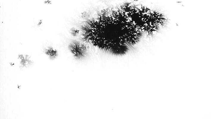 꽃 백그라운드 캘리그라피 추상 수채화 잉크 흑백 미술 사람없음 물 뷰티 검은색 페인트 펼침 젖음 흐름 흰색 얼룩 액체 혈액 변화 떨어짐 혼합 질감 합성 머리위 활기 내추럴 효과 MOV 해외동영상 클립영상 자연요소 식물 컬러 컨셉 무늬 모션 문화예술 촬영기법 동영상 파일형식