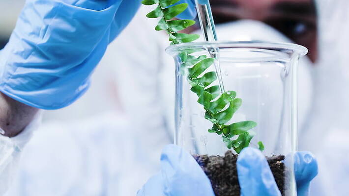 식물 직업 1 교육 산업 과학 잎 자연 노동자 현미경 실험 작업복 가면 사람 초록색 장비 시험 성장 흰색 작업 실험실 보호 생명공학 연구원 과학자 확인 대학교 생물학 공학 내추럴 묘목 유전 유전자변형 4K MOV 해외동영상 클립영상 나무 옷 컬러 컨셉 의학 학교 실험기구 생태계 동영상 학자 파일형식