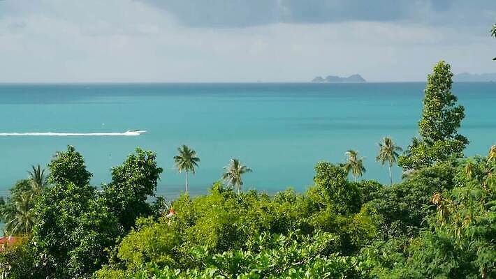 나무 바다 섬 여행 백그라운드 요트 교통시설 태국 자연 하늘 휴가 휴식 손바닥 사람없음 초록색 물 여름 파란색 햇빛 태양 뷰티 흰색 만 보트 재산 고급 크루즈 탈출 속도 내추럴 VIP 터키석 파라다이스 플로리다 MOV 해외동영상 클립영상 자연요소 식물 손 계절 아시아 컬러 교통 컨셉 배_교통 금융 미국 보석 시설 생태계 동영상 파일형식