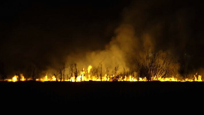 나무 배너 백그라운드 오렌지 하늘 불 불꽃 아이디어 창조 풍경 사람없음 야외 빨간색 빛 노란색 환경 검은색 어둠 에너지 뜨거움 연기 야간 숲 위험 내추럴 재 재앙 화상 4K MOV 해외동영상 클립영상 자연요소 식물 컬러 컨셉 과일 상처 동영상 파일형식