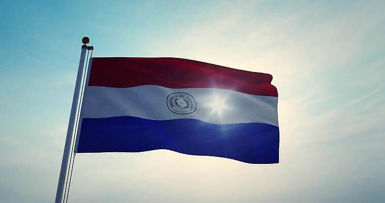 나무 배너 실루엣 물결 파도 백그라운드 하늘 바람 사람없음 그래픽 햇빛 태양 흐름 자유 깃발 불기 군용 만들기 지역 깃대 봉 애니메이션 동영상 애국심 명예 전국 정부 통일 파라과이 4K MOV 해외동영상 클립영상 자연요소 식물 바다 컨셉 모션 날씨 군대 촬영기법 남아메리카 파일형식