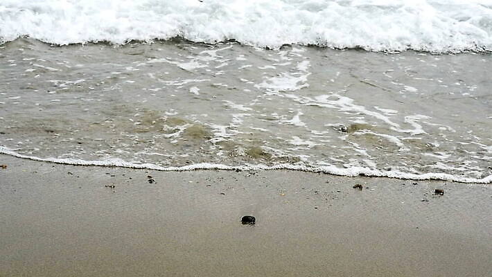 계절 모래 파도 바다 여행 백그라운드 자연 휴가 풍경 사람없음 야외 물 여름 파란색 모래사장 햇빛 노란색 우주 맑음 거품 흰색 서핑 작음 묘사 질감 암초 내추럴 그런지 MOV 해외동영상 슬로모션 클립영상 자연요소 컬러 날씨 촬영기법 태양 수상스포츠 크기 생태계 동영상 파일형식