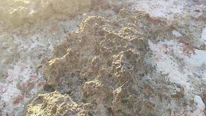 모래 바다 섬 여행 우산 태국 자연 호텔 휴가 등대 파노라마 사람없음 물 태양 파티 여행객 일몰 중앙아메리카 산호 저녁 휴양지 선베드 암초 대서양 도미니카공화국 이국적 파라다이스 포상금 4K MP4 해외동영상 클립영상 자연요소 아시아 돈 의자 숙소 촬영기법 아메리카 사람 이벤트 노을 장소 남아메리카 자포동물 야간 생태계 동영상 파일형식