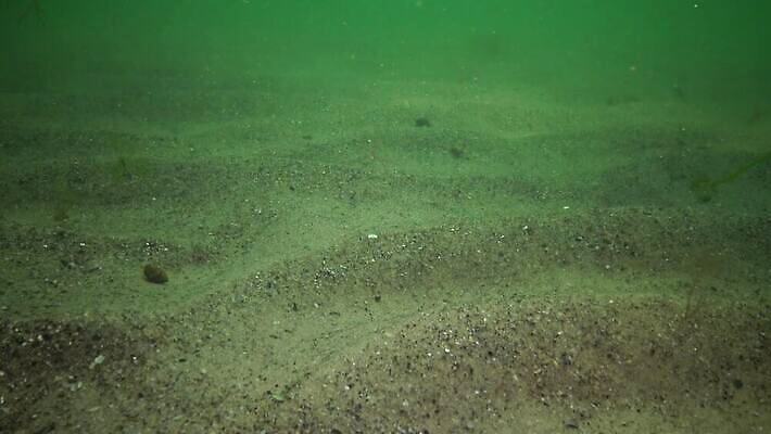 동물 파도 바다 자연 생물 무척추동물 풍경 사람없음 환경 항구 바닷속 수중 절벽 만 지중해 생태계 생물학 자연백그라운드 폭풍 단절 생태학 소금물 수평선 4K 수중영상 MP4 해외동영상 클립영상 교육 백그라운드 교통시설 날씨 동영상 파일형식