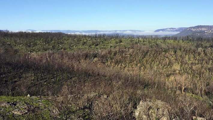 나무 구름 여행 자연 하늘 불 날씨 산 건조 안테나 풍경 사람없음 야외 초록색 여름 파란색 햇빛 갈색 환경 계곡 검은색 뜨거움 호주 숲 땅 언덕 암초 가뭄 동영상 드론 치유 4K MP4 해외동영상 클립영상 자연요소 식물 계절 컬러 통신 태양 오세아니아 생태계 파일형식