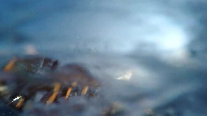 백그라운드 모션 추상 따뜻함 건강 사람없음 내부 물 파란색 달리기 머리 스파 힘 목욕 젖음 흐름 추위 욕실 흰색 물방울 신선 뜨거움 액체 개울 붓기 떨어짐 씻기 수증기 분무기 제트기 느림 노즐 샤워실 위생관리 MOV 해외동영상 슬로모션 클립영상 자연요소 컬러 컨셉 무늬 비행기 촬영기법 관리 신체부위 강 청결 동영상 샤워시설 파일형식