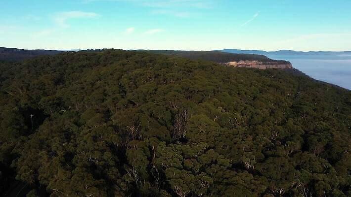 나무 구름 계절 여행 자연 날씨 산 안테나 풍경 사람없음 야외 초록색 파란색 여행객 환경 계곡 추위 안개 흰색 호주 숲 땅 머리위 동영상 흐림 드론 내려보기 4K MP4 해외동영상 클립영상 자연요소 식물 컬러 통신 모션 사람 오세아니아 생태계 파일형식