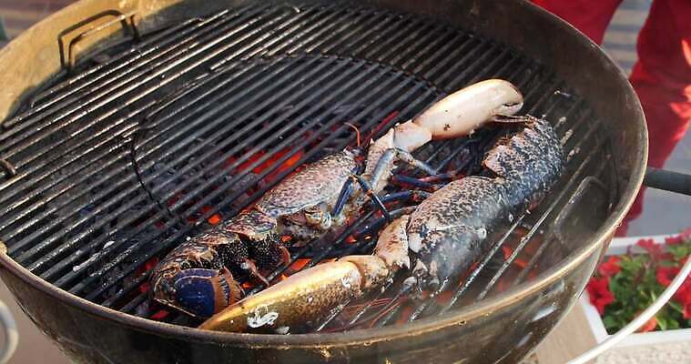 동물 전통 그릇 음식 바다 컬러 재료 불 낚시 조개 새우 건강 육류 갑각류 요리 한명 파란색 검은색 식사 저녁식사 프랑스 신선 시장 고급 그릴 바닷가재 바비큐 먹기 해산물 숯 어장 프랑스어 점심식사 집게발 생존 4K MP4 해외동영상 클립영상 자연요소 문자 1 식기 유럽 컨셉 식재료 모션 주방용품 레저 어패류 사람 가재 동영상 파일형식