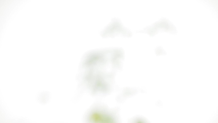 식물 여자 남자 꽃 백그라운드 잎 모션 자연 바람 휴식 건강 사람없음 초록색 약 흰색 잡초 발표 삼 약초 냄비 허브 진열장 회전 중독 내추럴 고립 마약 불법 대마초 마리화나 MOV 해외동영상 클립영상 자연요소 컬러 컨셉 채소 의학 날씨 사람 풀_식물 범죄 솥 생태계 동영상 파일형식