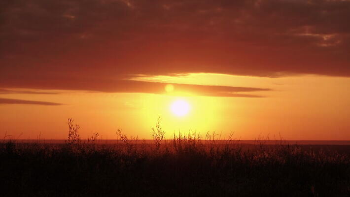 모자 라이프스타일 계절 여자 실루엣 포즈 컨셉 밭 오렌지 모션 자연 하늘 동화 추상 휴가 요정 따뜻함 한명 사람 야외 옆모습 빨간색 햇빛 태양 노란색 유행 걷기 일출 어둠 할로윈 광선 가을 기다림 무서움 망토 빗자루 언덕 마녀 스카이라인 10월 호러 4K MOV 해외동영상 클립영상 자연요소 1 잡화 감정 뷰포인트 컬러 무늬 농업 과일 촬영기법 생활 노을 날짜 청소도구 생태계 공포 동영상 파일형식