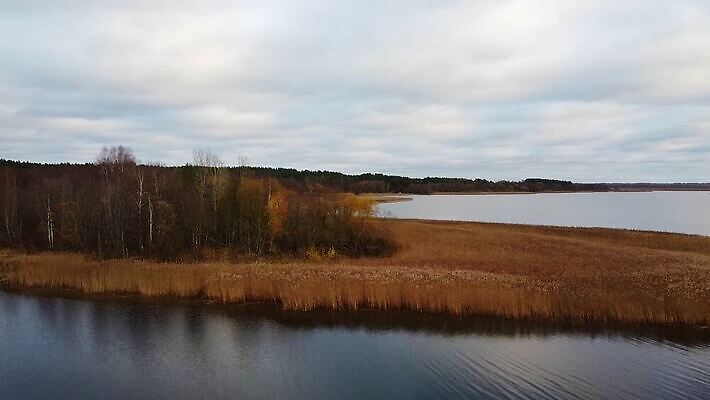 나무 식물 공원 호수 여행 백그라운드 겨울 밭 자연 하늘 아침 산 안테나 파노라마 사람없음 야외 물 파란색 강 반사 노란색 일출 환경 맑음 일몰 시골 습지 숲 홍수 드론 몬테네그로 전국 절정 평야 MOV 해외동영상 클립영상 주간 자연요소 계절 공공시설 컬러 농업 통신 날씨 촬영기법 노을 자연재해 생태계 동영상 파일형식