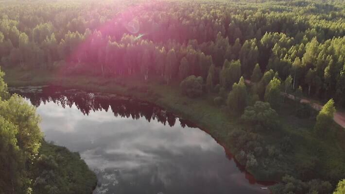 나무 자연 사람없음 야외 초록색 빛 강 숲 4K MOV 해외동영상 클립영상 식물 컬러 생태계 동영상 파일형식