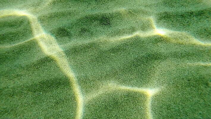 물결 모래 바다 백그라운드 자연 바닥 사람없음 물 빛 햇빛 수중 MOV 해외동영상 클립영상 자연요소 태양 생태계 동영상 파일형식