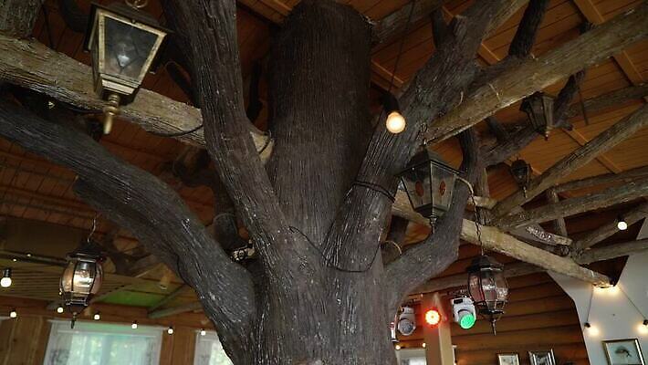 줄 결혼 전구 휴가 조명 주택 매달리기 사람없음 장식 빛 노란색 파티 축제 화환 황혼 모임 수확 등불 램프 축하 야간 저녁 오브젝트 잔치 보케 빛망울 광 뒤뜰 텅스텐 MOV 해외동영상 클립영상 자연요소 꽃 컬러 컨셉 농업 모션 이벤트 건물 일몰 원소 동영상 파일형식