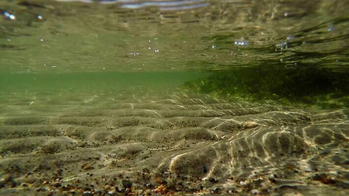 모래 파도 바다 자연 하늘 휴가 파노라마 잔디 사람없음 야외 파란색 수중 소리 서핑 닫기 보호 폴란드 깊이 발트해 4K MP4 해외동영상 클립영상 식물 유럽 컬러 컨셉 모션 촬영기법 북유럽 수상스포츠 생태계 동영상 파일형식