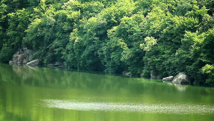 바다 여행 요트 하늘 바람 휴가 항해 사람없음 파란색 강 컬러풀 힘 경쟁 낭만 자유 보트 승무원 속도 함선 선원 네비게이션 레가타 발트해 MOV 해외동영상 클립영상 자연요소 직업 컬러 컨셉 배_교통 날씨 북유럽 동영상 파일형식
