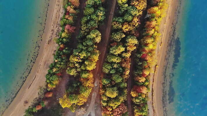 나무 계절 공원 호수 자연 아침 사람없음 일몰 숲 내추럴 항공촬영 4K MOV 해외동영상 클립영상 주간 식물 공공시설 뷰포인트 노을 생태계 동영상 파일형식