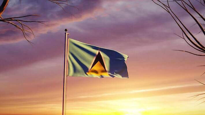 나무 배너 물결 파도 여행 하늘 아침 바람 사람없음 햇빛 태양 일출 일몰 흐름 자유 깃발 불기 민주주의 깃대 봉 애니메이션 재택근무 애국심 명예 독립 서인도제도 전국 정부 필승 4K MOV 해외동영상 슬로모션 클립영상 주간 자연요소 식물 바다 컨셉 비즈니스 모션 날씨 촬영기법 노을 우승 동영상 파일형식