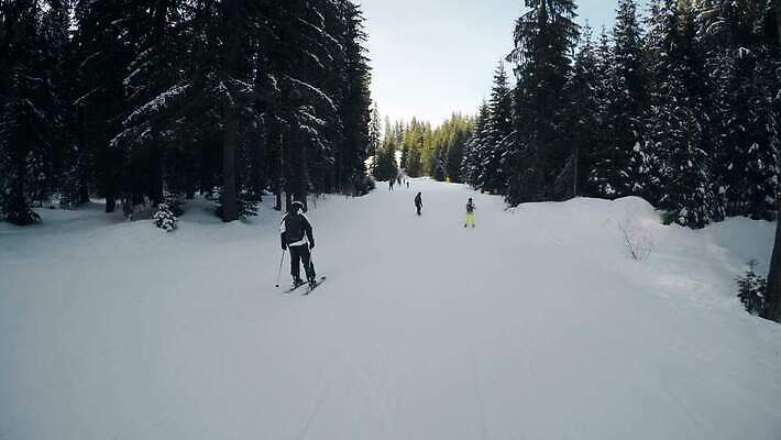 옷 계절 여자 유럽 스포츠 여행 겨울 자연 하늘 휴가 스키 휴식 산 사람 풍경 경사 사람없음 야외 가로 파란색 태양 맑음 얼음 트래킹 추위 흰색 소나무 스노우보드 휴양지 리프트 스키선수 불가리아 선로 절정 눈내림 1인칭시점 4K 반스코 MP4 해외동영상 클립영상 자연요소 나무 시선 나라 컬러 컨셉 레저 날씨 겨울스포츠 운동선수 눈_날씨 장소 보드_스포츠 생태계 동영상 파일형식 남유럽
