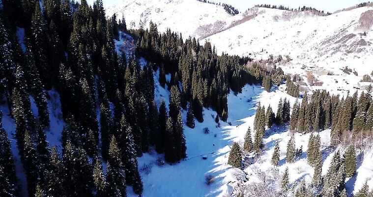 나무 계절 여행 크리스마스 겨울 자연 하늘 바람 산 안테나 파노라마 그림자 경사 사람없음 파란색 태양 계곡 냉동 추위 광선 흰색 정상 숲 휴양지 장면 항공촬영 드론 절정 카자흐스탄 눈내림 가문비나무 4K MP4 해외동영상 클립영상 자연요소 식물 기념일 아시아 뷰포인트 컬러 통신 날씨 눈_날씨 촬영기법 장소 생태계 동영상 파일형식