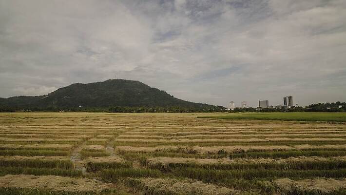 전통 아시아 문화 여행 자연 산 풍경 사람없음 초록색 태양 농장 마을 일출 일몰 시골 베트남 장면 논밭 랜드마크 4K 타임랩스 MP4 해외동영상 클립영상 자연요소 나라 컬러 밭 농업 논 촬영기법 노을 동남아시아 생태계 동영상 파일형식