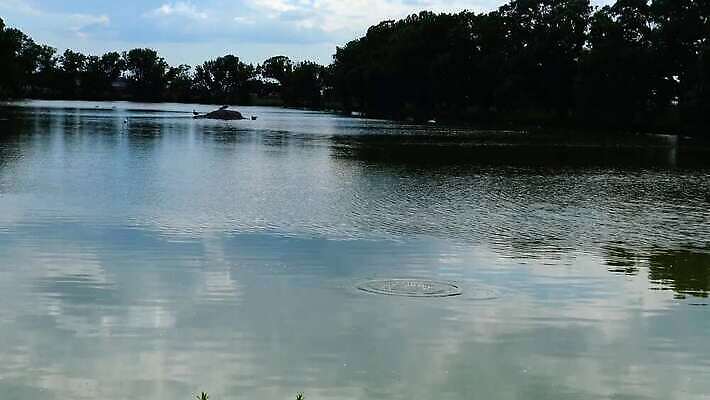 나무 공원 호수 파도 바다 컬러 여행 백그라운드 잎 자연 벽지 하늘 산 미술 사람없음 야외 물 파란색 빛 강 컬러풀 반사 환경 침묵 일몰 거울 연못 보트 숲 에메랄드 크로아티아 멸종위기동물 매머드 4K MP4 해외동영상 클립영상 자연요소 식물 동물 공공시설 유럽 배_교통 문화예술 노을 소리 보석 생태계 동영상 파일형식 멸종위기종