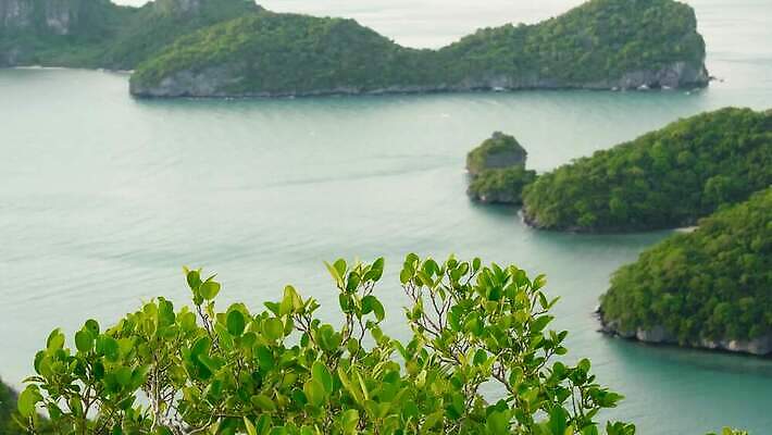 공원 아시아 바다 섬 여행 백그라운드 태국 휴가 열대 산 안테나 파노라마 풍경 사람없음 물 여름 파란색 여행객 맑음 전원 만 숲 열대우림 언덕 암초 석호 내추럴 가죽끈 이국적 전국 파라다이스 4K MP4 해외동영상 클립영상 자연요소 계절 공공시설 나라 컬러 통신 날씨 촬영기법 사람 끈 전기에너지 가죽 동영상 파일형식