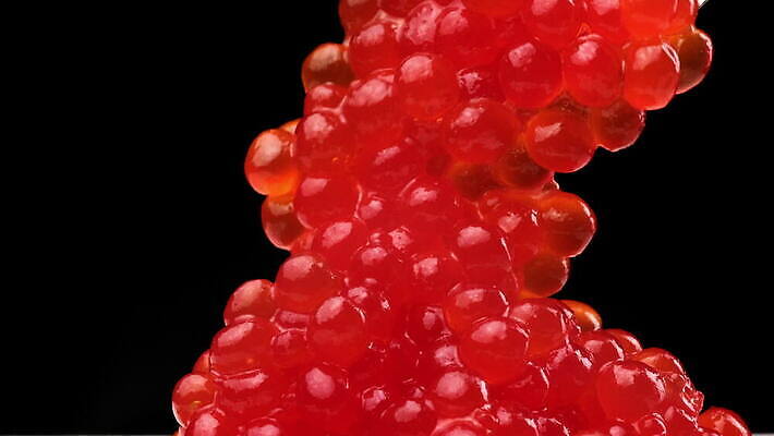 음식 바다 오렌지 재료 공 건강 어류 사람없음 빨간색 계란 숟가락 검은색 식사 흐름 신선 고급 아침식사 해산물 날것 연어 점심식사 절임 짠맛 캐비아 맛있는 4K MOV 해외동영상 클립영상 컬러 컨셉 과일 식재료 수저 알 수중동물 맛 동영상 파일형식