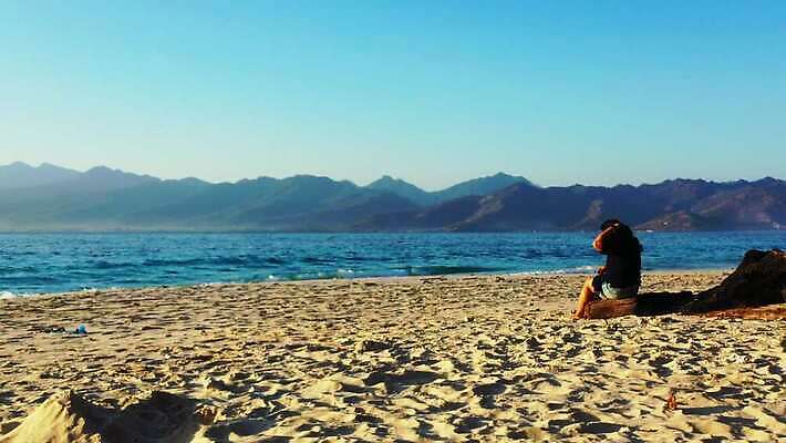 모래 파도 바다 섬 여행 자연 유리 하늘 휴가 한명 풍경 초록색 물 여름 모래사장 야자수 맑음 침묵 흰색 호주 보석 순수 통나무 태평양 멀리 석호 말레이시아 내추럴 이국적 터키석 파라다이스 4K MP4 해외동영상 클립영상 자연요소 나무 1 계절 아시아 컬러 컨셉 재질 날씨 사람 소리 오세아니아 광석 생태계 동영상 파일형식