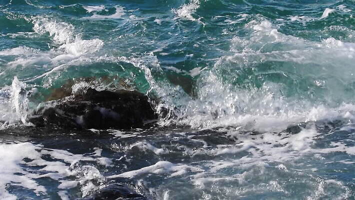 파도 바다 자연 사람없음 야외 거품 힘찬 스플래쉬 MOV 해외동영상 슬로모션 클립영상 컨셉 촬영기법 생태계 동영상 파일형식