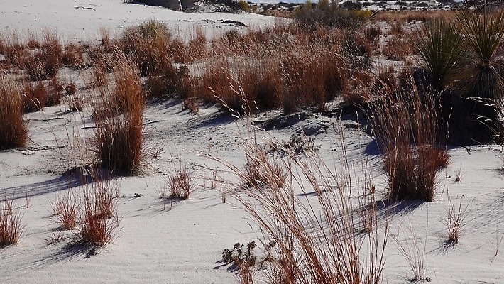 공원 모래 파도 조각 여행 곡선 자연 하늘 건조 사람없음 파란색 모래사장 미국 사막 흰색 황무지 모래언덕 언덕 질감 가뭄 기념물 천연기념물 내추럴 뉴멕시코 잔물결 전국 지질학 4K MP4 해외동영상 클립영상 공공시설 교육 물결 선 바다 컬러 북아메리카 날씨 생태계 동영상 파일형식