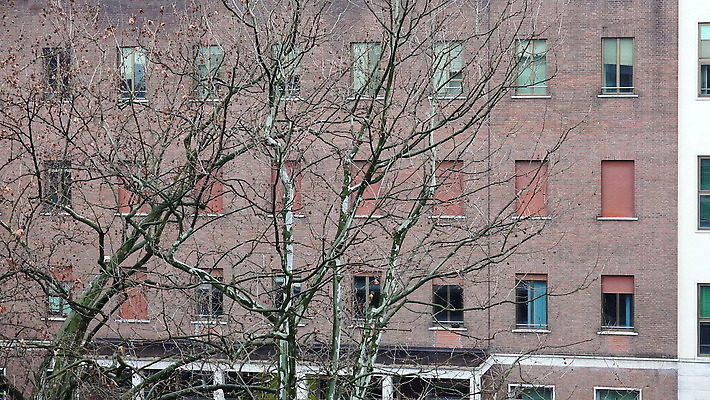 외관 건축양식 창문 호텔 벽돌 영국 잉글랜드 아파트 돌담 사람없음 야외 건물 사무실 이탈리아 도시 런던 뉴욕 러시아 콘도 맨해튼 랜드마크 석공 4K 설정숏 MOV 해외동영상 클립영상 건축물 건축 유럽 비즈니스 숙소 주택 촬영기법 담장 미국 돌_바위 동영상 파일형식