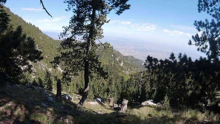 나무 스포츠 여행 자연 산 사람없음 등산 트래킹 하이킹 소나무 그룹 황무지 정상 숲 위험 고도 그리스 오르기 신화 그리스인 발칸반도 산악가 원정 절정 하이커 1인칭시점 4K MP4 해외동영상 클립영상 서양인 식물 시선 유럽 컨셉 모션 레저 생태계 동영상 파일형식
