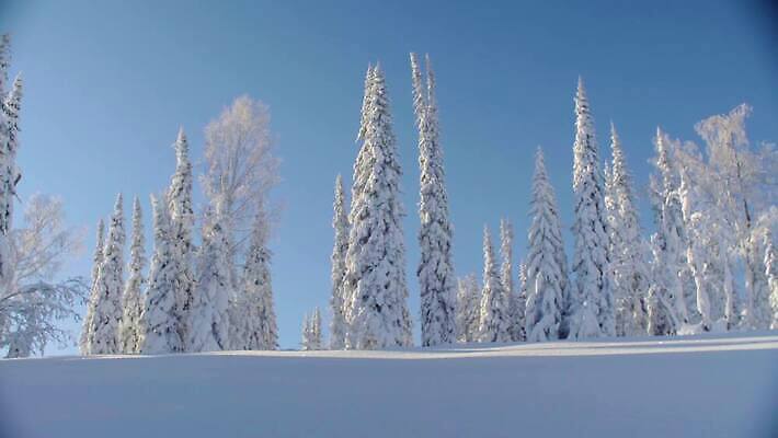 여행 겨울 자연 하늘 휴가 산 파노라마 사람없음 야외 파란색 빛 태양 일출 냉동 침묵 놀람 흰색 전원 숲 땅 즐거움 만족 북쪽 전나무 무료 시베리아 웅장함 환상 수평선 4K MOV 해외동영상 클립영상 자연요소 나무 계절 감정 컬러 컨셉 촬영기법 표정 노을 소리 전기에너지 방향 생태계 동영상 파일형식