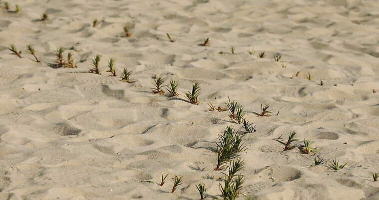 디자인 아시아 도로 모래 파도 여행 백그라운드 패턴 자연 추상 휴가 미술 사람없음 환경 맑음 희망 사막 시간 뜨거움 구멍 야간 저녁 사파리 언덕 질감 온도 동쪽 고립 방법 오해 진짜 케랄라주 4K MOV 해외동영상 클립영상 자연요소 감정 나라 길 바다 무늬 교통시설 날씨 문화예술 인도_나라 방향 생태계 동영상 파일형식