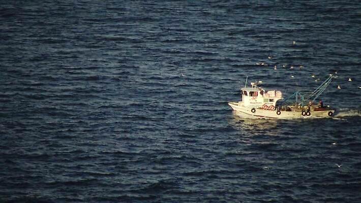 외관 산업 파도 바다 여행 교통시설 자연 갈매기 하늘 낚시 항해 어류 어업 사람없음 물 항구 황혼 모임 보름달 어선 당기기 저녁 크루즈 갑판 함선 상업 낚시꾼 어장 원정 수평선 4K MP4 해외동영상 클립영상 자연요소 교통 배_교통 모션 조류 레저 수중동물 일몰 달 야간 시설 생태계 동영상 파일형식