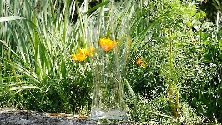 음료 유리 탁자 맥주 사람없음 빛 금발 거품 추위 알코올 신선 바 액체 닫기 묘사 상쾌 내추럴 창백 양조장 MP4 해외동영상 클립영상 헤어스타일 감정 가구 모션 재질 주류 동영상 파일형식