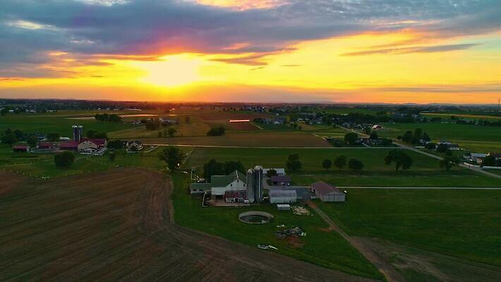 식물 구름 계절 백그라운드 밭 농업 오렌지 자연 하늘 옥수수 풍경 초원 사람없음 야외 초록색 여름 파란색 빛 농작물 햇빛 태양 농장 농경지 노란색 일출 환경 맑음 황혼 일몰 수확 성장 가을 시골 황금 저녁 낟알 땅 밀 장면 내추럴 드론 밭일 수평선 4K MOV 해외동영상 클립영상 자연요소 산업 컬러 과일 날씨 곡류 노을 야간 생태계 동영상 파일형식