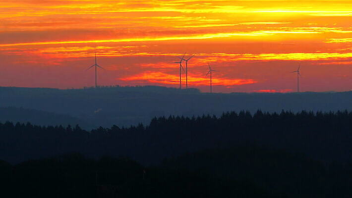 실루엣 독일 사람없음 야외 평화 풍력에너지 숲 4K 락다운 MOV 해외동영상 클립영상 유럽 컨셉 촬영기법 그린에너지 동영상 파일형식