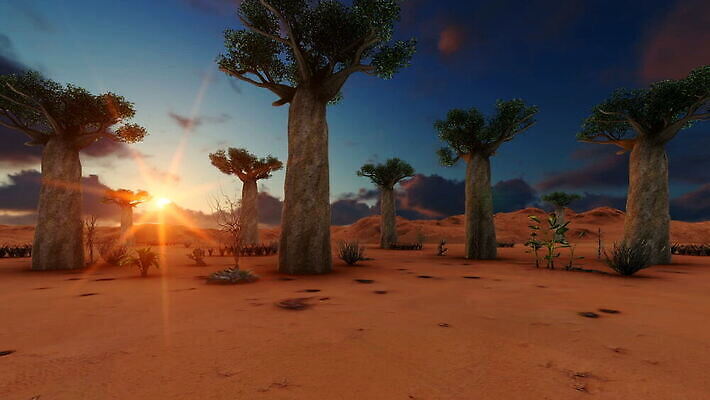 나무 식물 공원 모래 백그라운드 아프리카 자연 하늘 사람없음 야외 태양 사막 케냐 나미비아 바오밥나무 사바나 MOV 해외동영상 클립영상 자연요소 공공시설 나라 생태계 동영상 남아프리카 파일형식